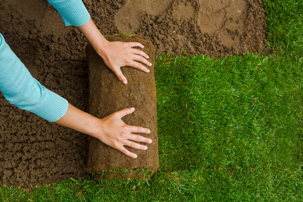 Lawn Installation